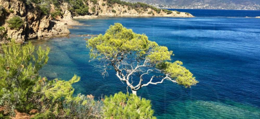 cap benat3