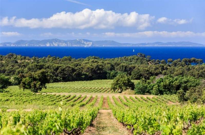 vignoble bregançon