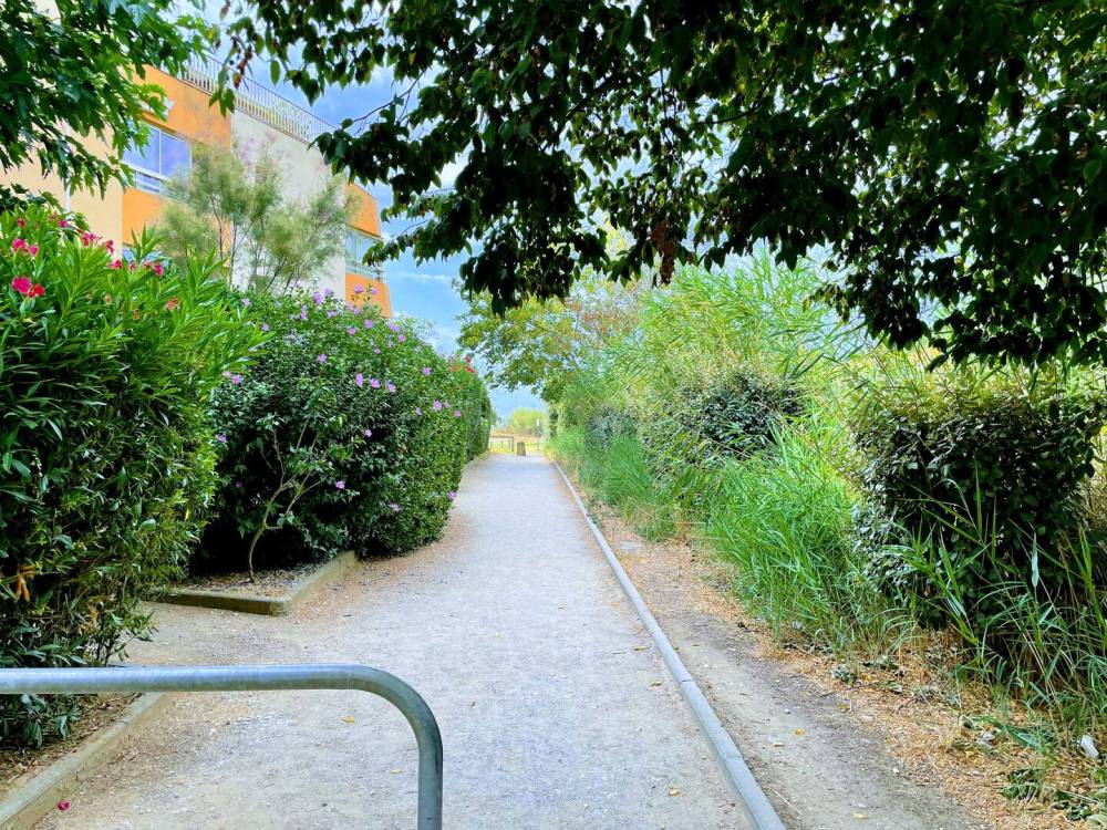 CHEMIN VERS PLAGE